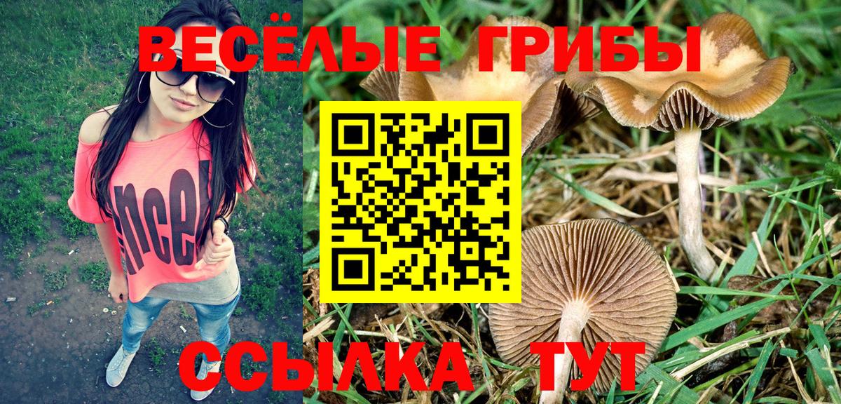 Сибай  Галлюциногенные грибы прущие грибы  Вход с VPN 