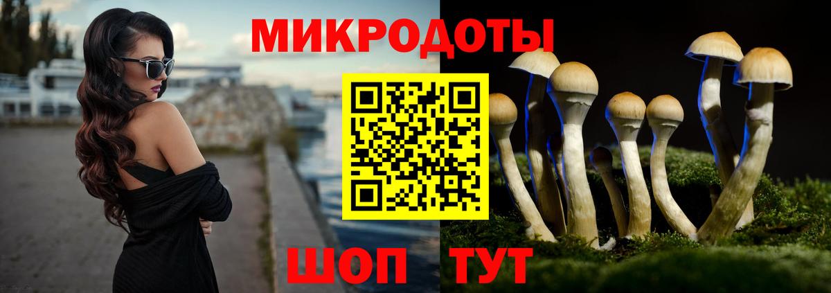 Псилоцибиновые грибы Cubensis Сибай